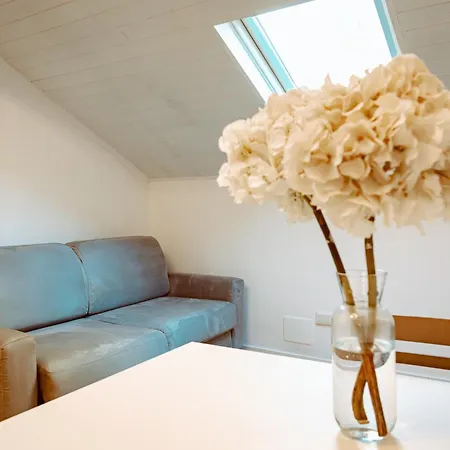 Apartment Loft Bligny *